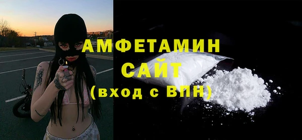 крисы Абаза