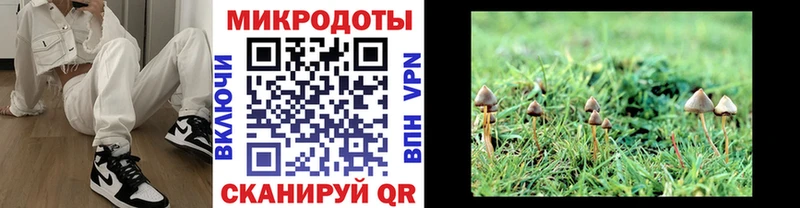 hydra ССЫЛКА Азов Галлюциногенные грибы мицелий